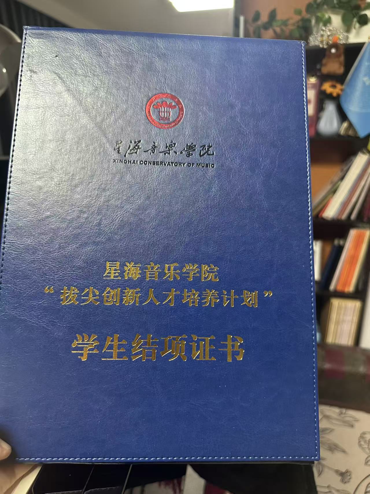 星海音乐学院培养计划结项证书